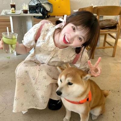 小狗波图之雪岭历险记