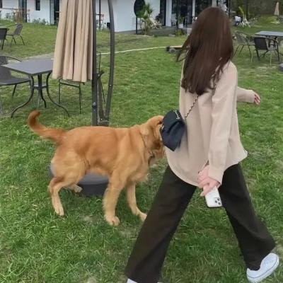 恋爱的母亲们